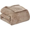 Noble House Ribbed Corduroy Extra Plush & Comfy All-Season Blanket - 3 of 3