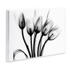 Stupell Industries Modern Tulip Blossom Abstract Monochrome Silhouette Photography Wall Plaque Art - 3 of 4
