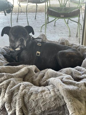 Guest review image 2 of 3, zoom in