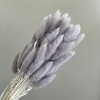 Alilang Dried Bunny Tail Grass Stems for Modern Home Decoration and Floral Arrangements, 23.5 Inches - 2 of 2