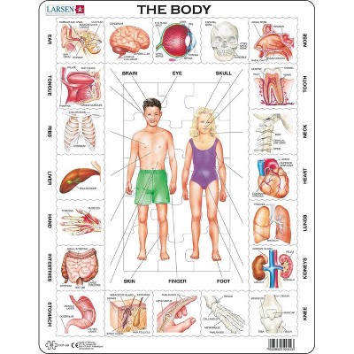 Larsen Puzzles The Body Kids Jigsaw Puzzle - 35pc