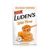Ludens Cough Drop Bag Wild Honey, Case Of 12 - 4 of 4