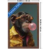 Trends International Ray Heere - Chimpanzee Blowing Bubble Framed Wall Poster Prints - 3 of 4