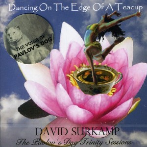 David Surkamp - Dancing On The Edge Of A Teacup (CD) - 1 of 1