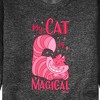 Men's - Disney - Cats & Dogs Graphic Fleece Sweatshirt - 2 of 4