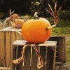 Joyfy Bendable Pumpkin Arms and Legs, Halloween Decorations for Pumpkin, Set of 4 Party Decor Includes 2 arms and 2 Legs Pumpkin Stake Supplies - 2 of 4
