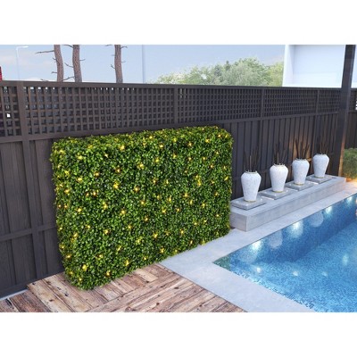 Luminous Boxwood Outdoor Topiary with Warm White LED Lights, 36 in