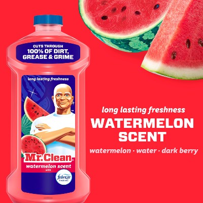 Mr. Clean Watermelon All-Purpose Floor Cleaning Liquid - 41 fl oz