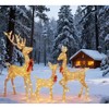 Lighted Christmas Deer Family Set, Large Outdoor Yard Reindeer Holiday Decoration,Lighted Deer Set for Indoor Decor, 5ft 3-Piece - 3 of 4