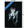 Trends International DC Comics - Catwoman - Portrait Unframed Wall Poster Prints - 3 of 4