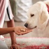 Milk-Bone Dipped Peanut Butter Crunchy Dog Treats - 2 of 4