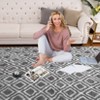 Machine Washable Rug Soft Fluffy Shaggy Area Rug Non Slip Ultra Soft Fluffy Indoor Floor Carpet for Living Room Bedroom Nursery - 4 of 4