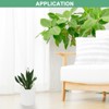 Unique Bargains Plastic Lightweight Modern Design Plant Pot Round 2 Pcs - 4 of 4