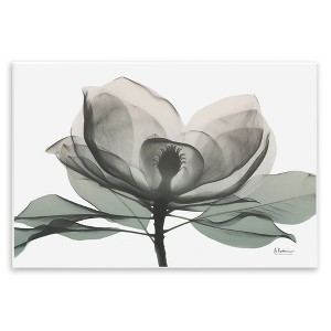 Stupell Industries White Magnolia Flower Green Silhouette Wall Plaque Art - 1 of 4