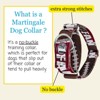 Country Brook Petz HossFit Jr Wide Martingale Dog Collar - Sports and Athletics Collection - 2 of 4