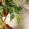 Tall Ficus Tree Artificial, Faux Ficus Tree with Curved Trunk, Fake Trees Indoor Outdoor for Home Office Living Room with White Pot - 2 of 4