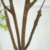 5ft Artificial Enkianthus Tree, Realistic Texture Potted with Realistic Leaves & Trunks,Large Floor Plant in Black Pot for Home Office Living Room - 2 of 4