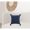 20" X 20"  100% Cotton Zippered Pillow - 2 of 4