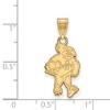 Black Bow Jewelry 14k Yellow Gold Iowa State Cyclones NCAA Large Pendant - 2 of 3