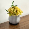 Gardenised 24-Pack Pot Feet - Rubber Risers for Planters, Prevents Stains, Rot & Moisture Damage on Wood, Cement & Tile - 4 of 4
