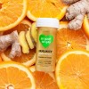 So Good So You Immunity Ginger with Cayenne Organic Probiotic Shot - 1.7 fl oz - 2 of 4