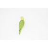 Collectible Wildlife Gifts | Parakeet, Green,  Rubber Bird, Educational, Realistic, Hand Painted,  Model, Gift,     2 1/2"    F1669 B63 - 4 of 4
