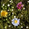 Artificial Spring Flower Wreath 19" - National Tree Company - image 3 of 4