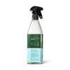 Lemon & Mint All Purpose Cleaner - 28 Fl Oz - Everspring™ : Target