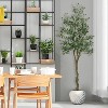 5/6 ft Artificial Olive Tree, Large Olive Tree Artificial Tree Realistic Durable Green Indoor Plant for Living Room Office Decoration Garden Wedding - 2 of 4