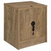 Sapphtopaz Modern Nightstand with 2 Drawers Rectangle Bedside Table with LED and USB Ports Wood Night Stand for Bedroom, Living Room - 4 of 4