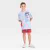Boys' Super-Man Americana Short Sleeve Graphic T-Shirt - Light Blue - 4 of 4