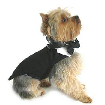 DOGGIE DESIGN Dog Tuxedo w/Formal Tails- Black, Medium (Chest 16-19")