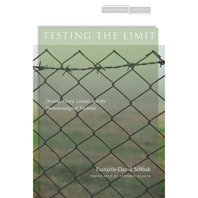 Testing the Limit - (Cultural Memory in the Present) by  François-David Sebbah (Hardcover)