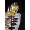 Concave Champagne Glasses - 20oz - 3 of 4