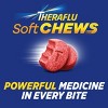 Theraflu Severe Cold Relief Soft Chewable Tablets - Apple Cinnamon - 20ct - image 3 of 4