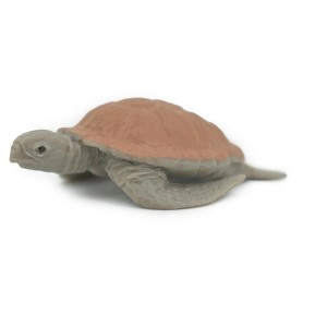 Collectible Wildlife Gifts | Sea Turtle, Galapagos Islands, Hand Painted, Realistic Plastic Turtle Diorama, Toy,  Gift, 2 1/2 Inches. F1523 B150 - 1 of 4