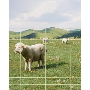 9-Gauge Thickened Farm Fence, Galvanized Wire Fencing, Cattle Fence, Deer Fence Used to Hog Goat Fencing for Yard Garden and Field - 1 of 4