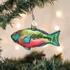 Old World Christmas 2.25 In Parrotfish Ocean Coral Reef Strength Tree Ornaments - 3 of 3