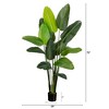 Nearly Natural 6-ft UV Resistant Artificial Travelers Palm Tree (Indoor/Outdoor) - 2 of 4