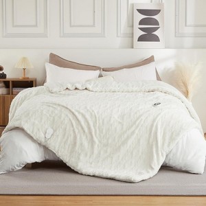 Wireless Heated Comforter - Electric Quilt with LCD Controller, 6 Heat Settings & Adjustable Timer, UL Certified - 1 of 4