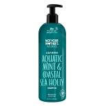 Not Your Mother's Naturals Aquatic Mint & Coastal Sea Holly Shampoo - 15.2 fl oz