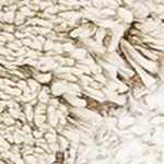 light peach, dark brown, camel, gray