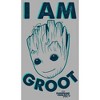 Toddler's Marvel Guardians of the Galaxy Vol. 2 Secret T-Shirt - 2 of 3