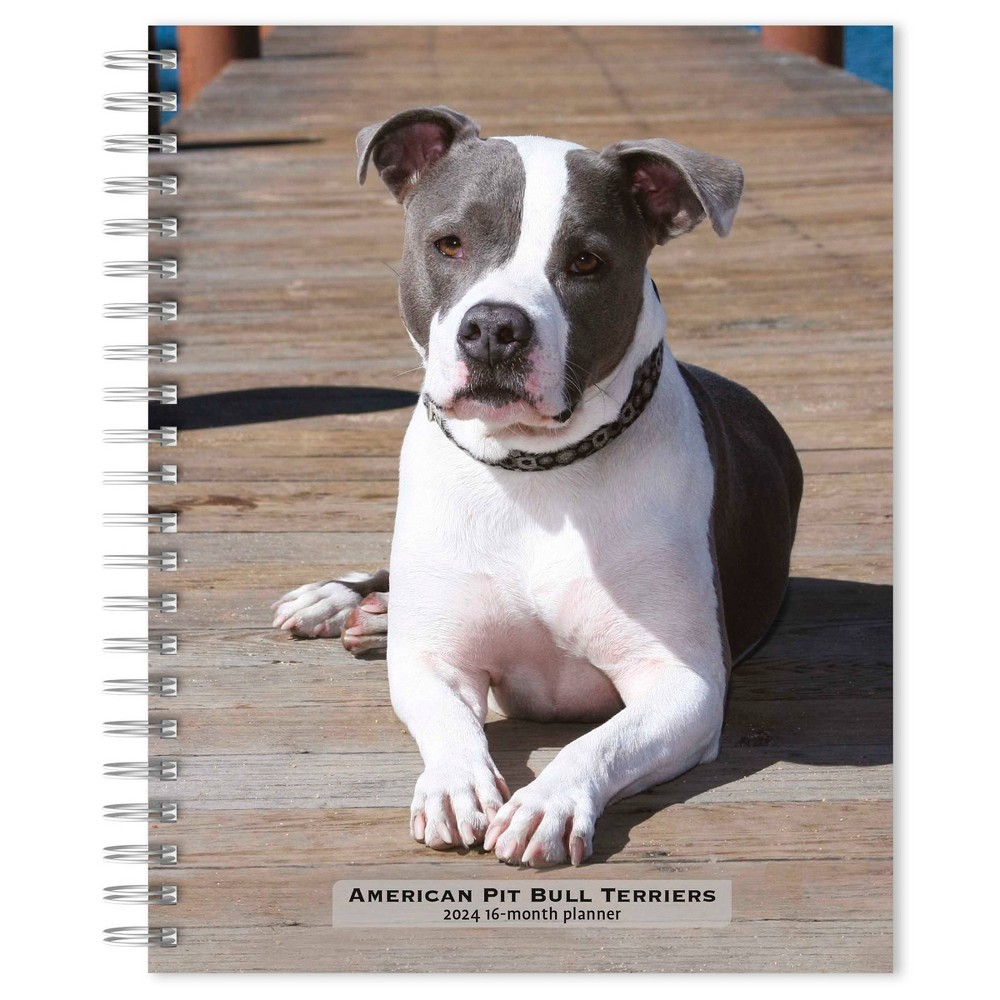 Photos - Other interior and decor Browntrout 23- Weekly/Monthly Planner 7.5"x7.125" American Pit Bull Te 2024