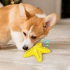 Cesicia Lake Blue Dog Toy, Molar Stick Leaking Food Dog Toothbrush - 4 of 4