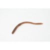 Collectible Wildlife Gifts | Worm, Earthworm, Rubbery, Toy,  Gift, Realistic Figure, Educational Model,  Gift,     5 1/2 inches long       F3396 B38 - 4 of 4