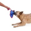 BARK 3.4" Sandy the Blue Stingray Under the Seams Plush Rope Dog Toy - 4 of 4