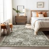 Acekool Vintage Area Rug, Washable Soft Low Pile Non Slip Carpet for Bedroom Living Room, Easy Care Retro Indoor Decor - 3 of 4
