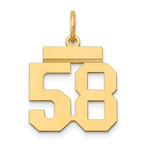 Black Bow Jewelry 14k Yellow Gold, Athletic Collection, Small Polished Number 58 Pendant - 1 of 4