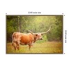 Amanti Art Sunlit Midwest I by PHBurchett Framed Canvas Wall Art - 4 of 4